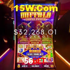 Game Statistics 56Bet